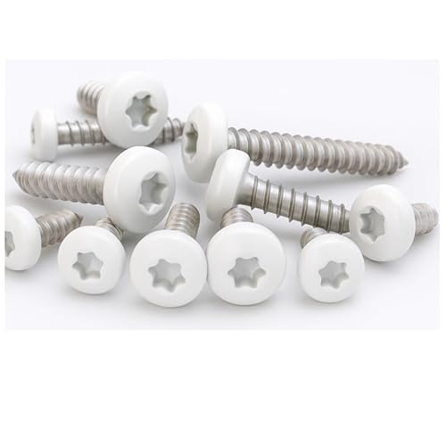 PB Schrauben® Blechschrauben Edelstahl A2 Torx 4,2x13 mm - 10 Stk. I Linsenkopf Torx mit weißem Kopf I ISO 14585 - Rostfrei - Coated in Germany I RAL 9016 (Weiß) von PB Schrauben