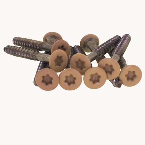 PB Schrauben® Spanplattenschrauben Edelstahl A2 Torx 4,0x55mm - 100 Stk. I Holzschrauben Torx TX mit Senkkopf - Rostfrei Coated in Germany I ideal geeignet für OSB Platten I RAL 1001 (Beige) von PB Schrauben