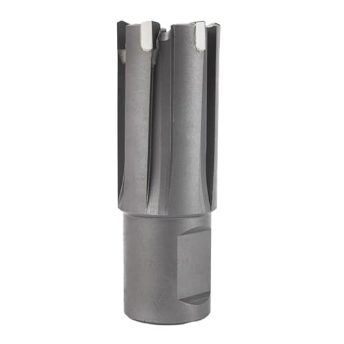 1 stück 8-36mm X 25mm TCT Schienenschneider Mit Weldonschaft Kernbohrer Metalllochsäge Schnitttiefe Durchmesser(19x25mm) von PBNANHGZZ