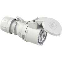 Shark 214-1 cee Kupplung 16 a 4polig 1 St. - Pc Electric Shark 214-1 cee Kupplung 16 a 4polig 1 St. - Pc Electric von PC ELECTRIC