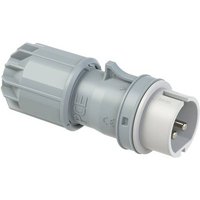 PCE Twist 092-12v CEE Stecker 32A 2polig 42V 1St. von PCE