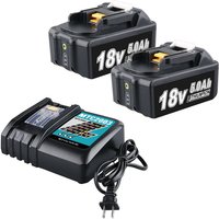 Pdstation - 2 x BL1860 18 v 5,0 Ah Akku und 3 a DC18RC Ladegerät für Makita, kompatibel mit Makita 18 v lxt Li-Ionen-Akkus BL1850, BL1840, BL1830, von PDSTATION