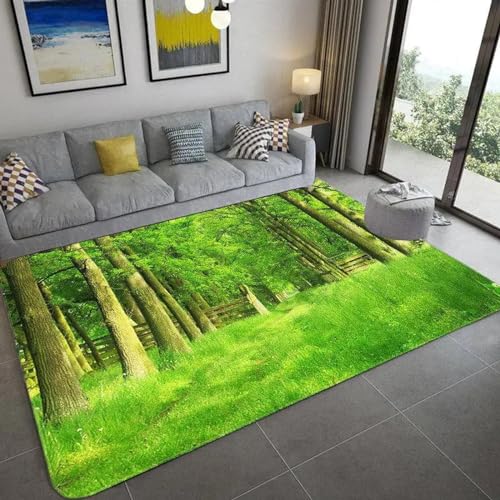 PDSYCB Natürliche Landschaft 3D Teppich für Wohnzimmer Grüne Pflanze Baum Landschaft Sonnenlicht Landschaft Hauseingang Tür Matte Wohnzimmer Teppiche Anti-Rutsch-Teppich im Badezimmer 120x170cm von PDSYCB