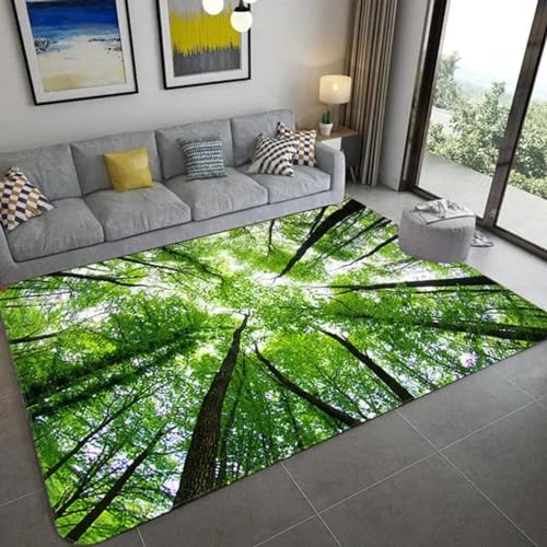 PDSYCB Natürliche Landschaft 3D Teppich für Wohnzimmer Grüne Pflanze Baum Landschaft Sonnenlicht Landschaft Hauseingang Tür Matte Wohnzimmer Teppiche Anti-Rutsch-Teppich im Badezimmer 50x80cm von PDSYCB