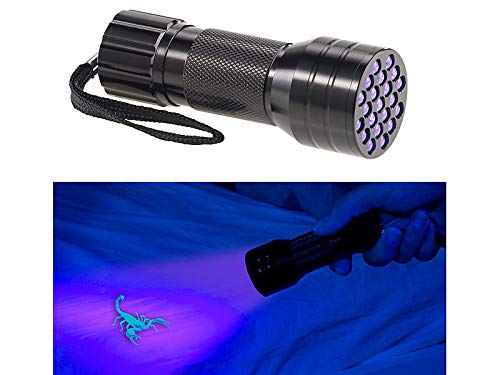 PEARL UV Lampe: 2in1-UV-Taschenlampe und Geldscheinprüfer, 21 LEDs und Batteriebetrieb (Schwarzlicht Taschenlampe, Schwarzlicht Lampe, Schwarzlichtleuchte) von PEARL
