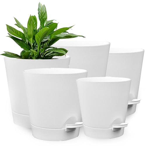 PECZEKO Blumentopf, 5 Stück Kunststoff Blumentopf mit Bewässerungssystem 17,5/16,5/15/14/12,5 cm, Pflanztopf Selbstbewässerung Übertopf mit Untersetzer, für Drinnen und Draußen Geeignet, Weiß PECZEKO Blumentopf, 5 Stück Kunststoff Blumentopf mit Bewässerungssystem 17,5/16,5/15/14/12,5 cm, Pflanztopf Selbstbewässerung Übertopf mit Untersetzer, für Drinnen und Draußen Geeignet, Weiß von PECZEKO
