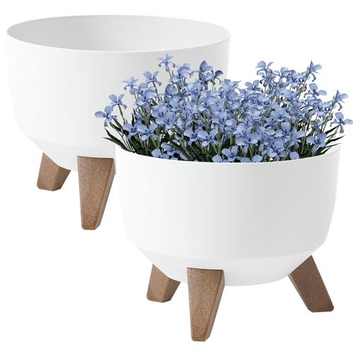 PECZEKO Blumentopf | untersetzer blumentopf | Pflanzkübel | 2X Set Übertöpfe | Ø 29 rund | Blumentöpfe Weiß PECZEKO Blumentopf | untersetzer blumentopf | Pflanzkübel | 2X Set Übertöpfe | Ø 29 rund | Blumentöpfe Weiß von PECZEKO