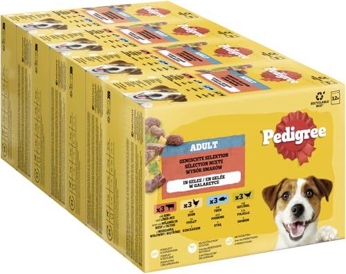 PEDIGREE DOGCARE Hundefutter Portionsbeutel Chunks in Gelee Adult 4 x 12 x 100g PEDIGREE DOGCARE Hundefutter Portionsbeutel Chunks in Gelee Adult 4 x 12 x 100g von Pedigree