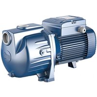 Pedrollo - Bewässerungs-Selbstentlüftungspumpe Einzelphase 1,5 kW 2 hp SKRm 1.5 Gusseisen Pedrollo - Bewässerungs-Selbstentlüftungspumpe Einzelphase 1,5 kW 2 hp SKRm 1.5 Gusseisen von PEDROLLO