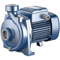 Pedrollo - NGAm 1A Einzelphase 0,75 kW 1 hp Pumpenkörper Gusseisen Wasserpumpen von PEDROLLO