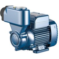 Pedrollo - Selbstansaugende Peripheral Wasserpumpe für Bewässerung PKS60 Messing von PEDROLLO