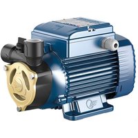 Pedrollo - pumpen für die industrie Kreiselpumpe mit Peripherallaufrad PQAm 70 0,75HP 230 v von PEDROLLO