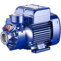 Wasserpumpe Gartenpumpe Peripherallaufrad PKm100 Einzelphase 1,5HP 230V PEDROLLO Wasserpumpe Gartenpumpe Peripherallaufrad PKm100 Einzelphase 1,5HP 230V PEDROLLO von PEDROLLO