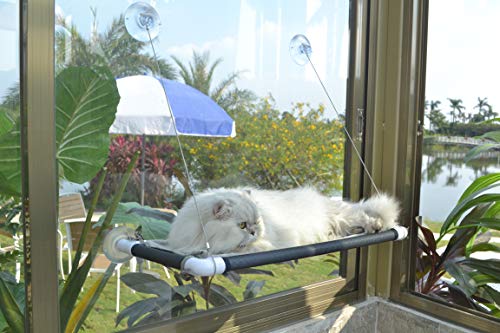 Katzen-Hängematte mit Saugnapf für Fenster, Sonnensitz, sehr stark, schwarz von PEFUNY