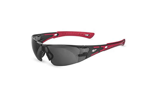 PEGASO 103.02 Schutzbrille Solar Sun Modell Black & Red PC-Solarlinse Anti-Beschlag, L von PEGASO