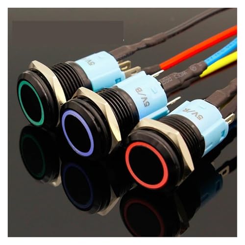 LED Momentary 16mm Metalldrucktastenschalter 3V 5V 12V 24V 48V 110V 220V(Green,12V) von PEGGMZYX