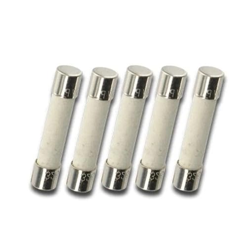 PEGGMZYX 5er-Pack, T15A250V, T15A 250V, T15 250V Sicherung 5X20 mm - von PEGGMZYX