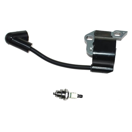 PEGGYLIN Zündspule for RY10518 RY10519 RY10519A RY10519B RY10520 RY10521 RY10521A RCS3535A RCS3535CA RCS3535CB RCS4040CA von PEGGYLIN