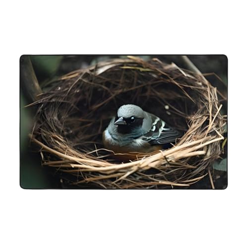 Little Bird Nest-Teppich, weicher Flanell-Teppich, 152,4 x 99,1 cm, rutschfester Memory-Schaum, ideal für Wohnzimmer und Büro. von PEGQCVAM