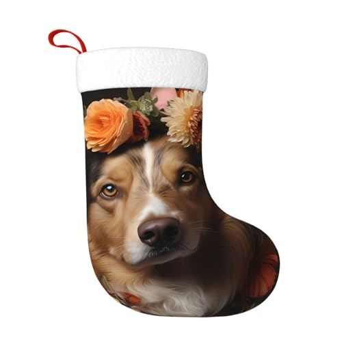 PEGQCVAM Hund Mädchen mit Blumen Weihnachtsstrümpfe Ein Muss für Weihnachtsfamilien, geeignet für Feiertagsdekoration, warme Urlaubsatmosphäre. PEGQCVAM Hund Mädchen mit Blumen Weihnachtsstrümpfe Ein Muss für Weihnachtsfamilien, geeignet für Feiertagsdekoration, warme Urlaubsatmosphäre. von PEGQCVAM
