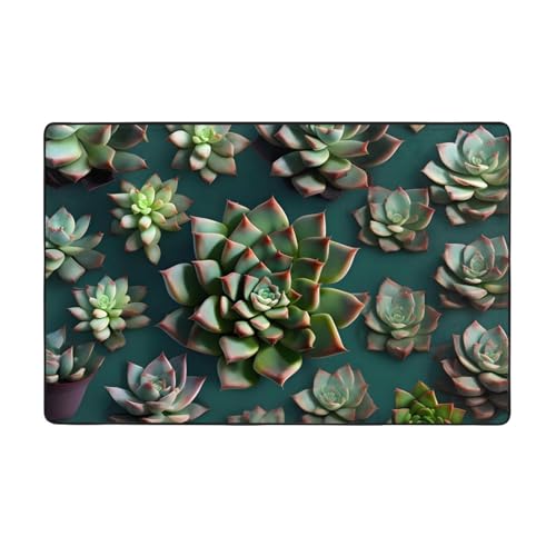 Viele Sukkulenten weicher Flanell-Teppich, 152,4 x 99,1 cm, rutschfester Memory-Schaum, ideal für Wohnzimmer und Büro. Viele Sukkulenten weicher Flanell-Teppich, 152,4 x 99,1 cm, rutschfester Memory-Schaum, ideal für Wohnzimmer und Büro. von PEGQCVAM