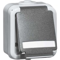 Peha SCHUKO-Steckdose 1-fach gr 16A 250V 2-pol. D 6620 WAB NA - 00307011 von PEHA Elektro GmbH & Co. KG