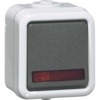 Peha Wippschalter Kontrolllicht 10A 250V D 626 WAB GLK - 00301611 von PEHA Elektro GmbH & Co. KG