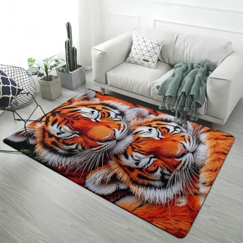PEIHUODAN Fantasy Animal 3D Leopard Löwe Tiger Flanell-Teppich Für Männer Jungen Teenager Schlafzimmer Rutschfester Teppich Geeignet Für Wohnzimmer Spielzimmer Badezimmer Läufer (Color 6,50x80 cm) von PEIHUODAN