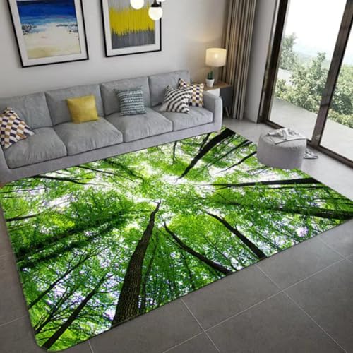Teppich Natürlicher Landschaft Grün Wald Wasserfall Felsen 3D Flanellteppich Modern Dekor Rutschfest Waschbar, Geeignet Für Wohnzimmer Schlafzimmer Arbeitszimmer Badezimmer (Color 4,120x180 cm) von PEIHUODAN