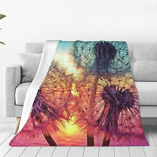 Pusteblume DIY Zeichnung Malen Decke Ultraweiche Micro-Fleece-Decke Super Warme Flanelldecken Leichte Überwurfdecken Klimaanlage Decke für Büro Zuhause Bett Sofa 203,2 x 152,4 cm von PEIXEN