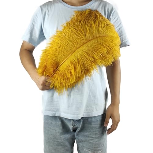 PEKNUX 2 Stück 45-50 cm Bunte Große Federn Straußenfedern Tischblumendekoration Straußenfedern Gold von PEKNUX