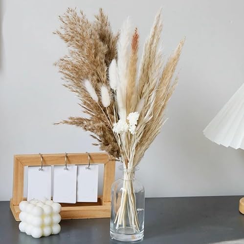 Getrockneter Blumenstrauß Echte Blume Wohnzimmer Mini-Ornamente Schilf Baumwolle Rose Kaninchenschwanz Gras DIY-Blumenmaterial von PEKNUX