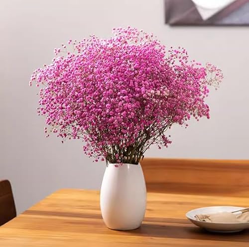 Gypsophila Trockenblumenstrauß Wohnzimmer Deko Trockenblumen Deko Ornamente Natürliche Trockenblumen Echte Blumen von PEKNUX