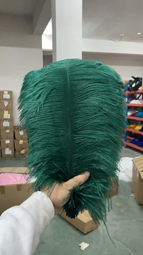 PEKNUX 2 Stück 45-50 cm Bunte Große Federn Straußenfedern Tischblumendekoration Straußenfedern Dunkelgrün von PEKNUX