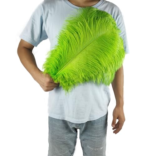PEKNUX 2 Stück 45-50 cm Bunte Große Federn Straußenfedern Tischblumendekoration Straußenfedern Fruchtgrün von PEKNUX
