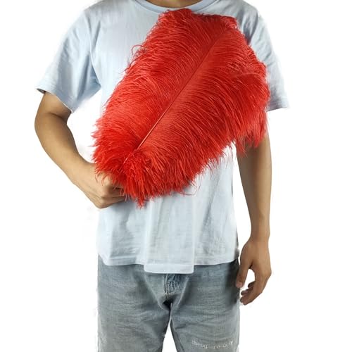 PEKNUX 2 Stück 45-50 cm Bunte Große Federn Straußenfedern Tischblumendekoration Straußenfedern Leuchtend Rot von PEKNUX