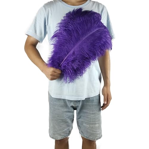 PEKNUX 2 Stück 45-50 cm Bunte Große Federn Straußenfedern Tischblumendekoration Straußenfedern Lila von PEKNUX