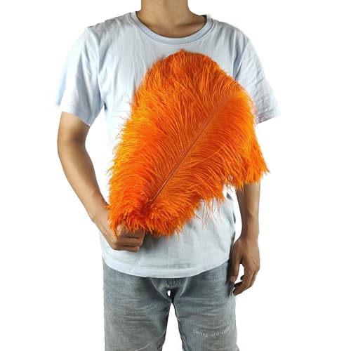 PEKNUX 2 Stück 45-50 cm Bunte Große Federn Straußenfedern Tischblumendekoration Straußenfedern Orange von PEKNUX
