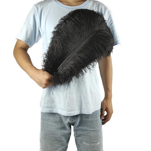PEKNUX 2 Stück 45-50 cm Bunte Große Federn Straußenfedern Tischblumendekoration Straußenfedern Schwarz von PEKNUX