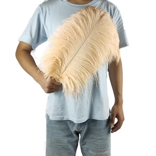 PEKNUX 2 Stück 45–50 cm Große Bunte Straußenfedern, Tischblumendekoration, Straußenfedern, Champagner von PEKNUX