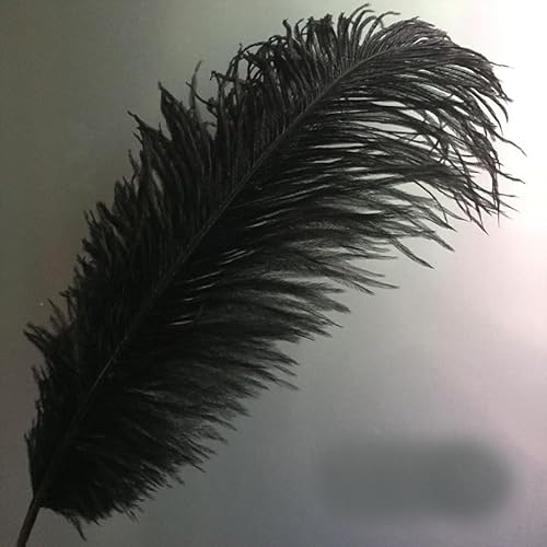 PEKNUX Straußenfeder 40–45 cm, Hochzeit, Weg, Tischblume, DIY, Dekorative Ornamente, Schwarz von PEKNUX