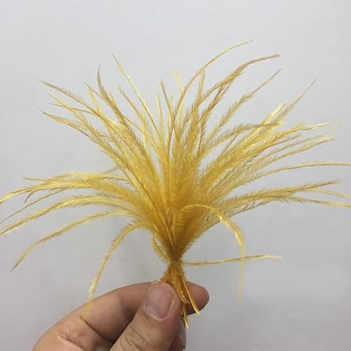 PEKNUX Straußenfederseide DIY Schmuck Pfauenhaarseide 50 Stück/Bündel Gold 8-13Cm von PEKNUX
