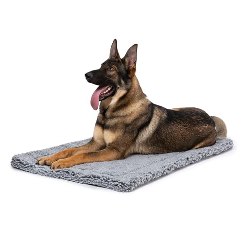 Pelzin Stoutwool Chew Proof Dog Bed - Fluffy Chew Resistant Dog Crate Pad - Tough Kennel Pad for Aggressive Chewers - Washable, Ideal for Extra Large Breeds & Fits L 122cm Crate - 119x74x5cm, Charcoal Pelzin Stoutwool Chew Proof Dog Bed - Fluffy Chew Resistant Dog Crate Pad - Tough Kennel Pad for Aggressive Chewers - Washable, Ideal for Extra Large Breeds & Fits L 122cm Crate - 119x74x5cm, Charcoal von PELZIN