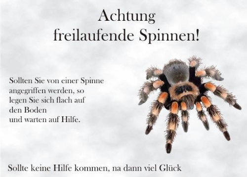 PEMA INDIGOS UG - Türschild FunSchild - SE02 DIN A5 laminiert für Spinne Spinnen Fans Schild - für Käfig, Zwinger, Haustier, Tür, Tier, Aquarium von PEMA