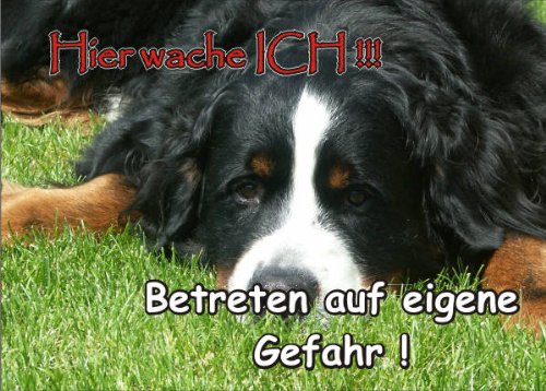 PEMA INDIGOS UG - Türschild FunSchild - SE300 DIN A5 Achtung Hund Berner Sennenhund - für Käfig, Zwinger, Haustier, Tür, Tier, Aquarium - aus hochwertigem Alu-Dibond beschriftet sehr stabil von PEMA