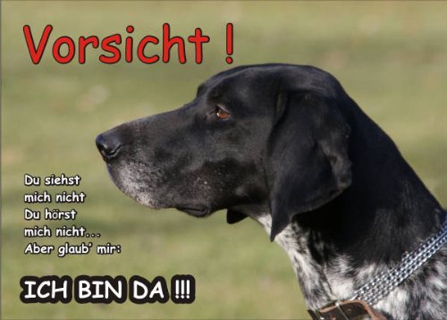 PEMA INDIGOS UG - Türschild FunSchild - SE429 DIN A5 Achtung Hund DEUTSCH KURZHAAR - für Käfig, Zwinger, Haustier, Tür, Tier, Aquarium - aus hochwertigem Alu-Dibond beschriftet sehr stabil von PEMA