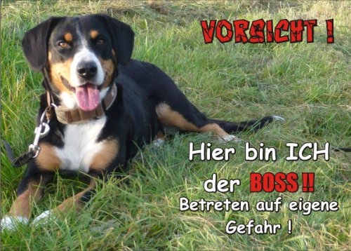 PEMA INDIGOS UG - Türschild FunSchild - SE484 DIN A4 laminiert Achtung Hund Entlebucher Sennenhund - für Käfig, Zwinger, Haustier, Tür, Tier, Aquarium von PEMA