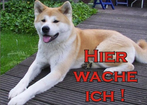 PEMA INDIGOS UG - Türschild FunSchild - SE64 DIN A5 Achtung Hund Akita Inu - für Käfig, Zwinger, Haustier, Tür, Tier, Aquarium - aus hochwertigem Alu-Dibond beschriftet sehr stabil von PEMA