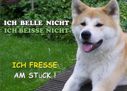 PEMA INDIGOS UG - Türschild FunSchild - SE67 DIN A4 laminiert Achtung Hund Akita Inu - für Käfig, Zwinger, Haustier, Tür, Tier, Aquarium von PEMA