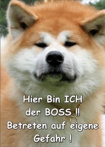 PEMA INDIGOS UG - Türschild FunSchild - SE76 DIN A4 laminiert Achtung Hund Akita Inu - für Käfig, Zwinger, Haustier, Tür, Tier, Aquarium von PEMA